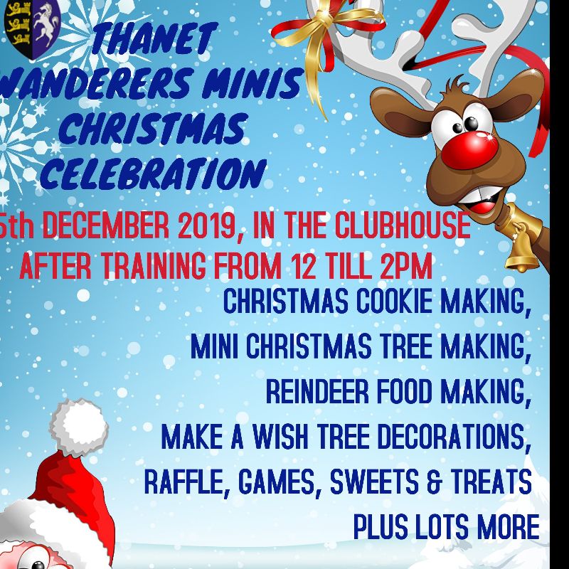 The Minis Christmas Party is on Saturday