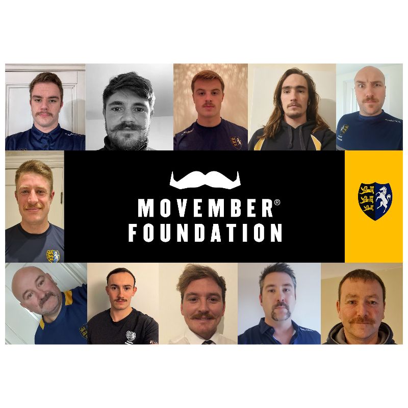 The Magnificent Moustaches of the Movember Men