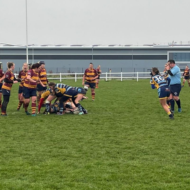 03/12/2023: Westcliff Ladies 5 TWRUFC Ladies 1st XV 12 - Thanet Wanderers RUFC Gallery
