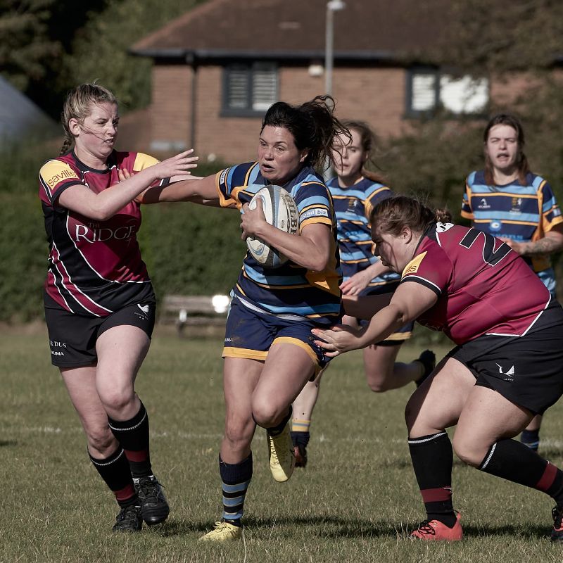 Image for the TWRUFC Newsletter, October 2023 - Ladies Section news article