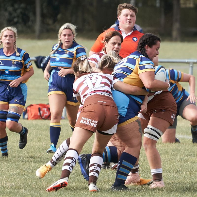 Image for the TWRUFC Newsletter, September 2023 - Ladies Section news article